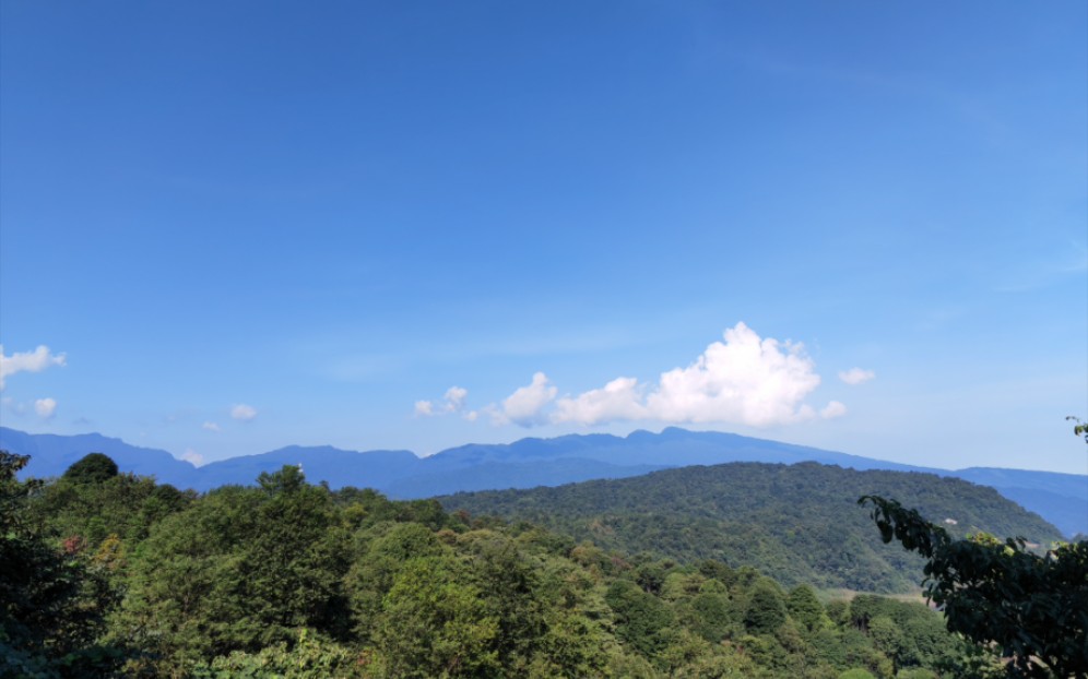 [雅安海子山]來避暑,空氣真的很不錯