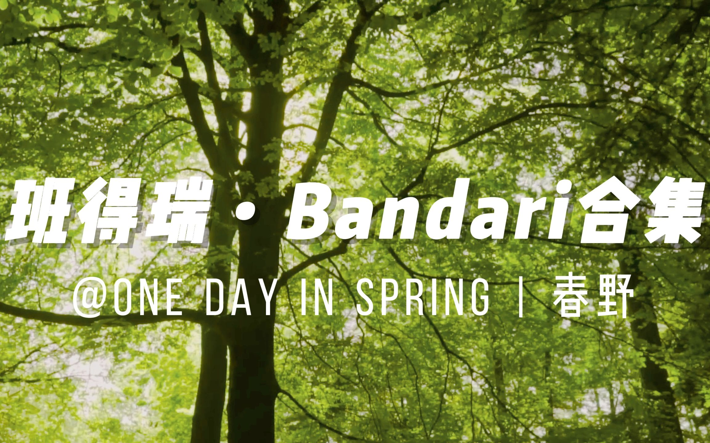 活动作品班得瑞bandari音乐合集onedayinspring春野