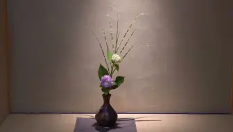 夏季日常花丨桔梗 石竹 雄黄兰 青枫丨生活美学丨日本茶道里千家五美堂茶道教室 哔哩哔哩 Bilibili