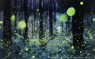 萤火虫之森 搜索结果 哔哩哔哩 Bilibili