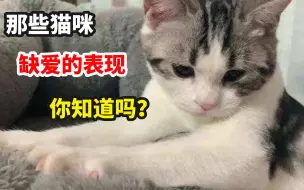 下载视频: 那些缺爱的猫咪才有的行为？