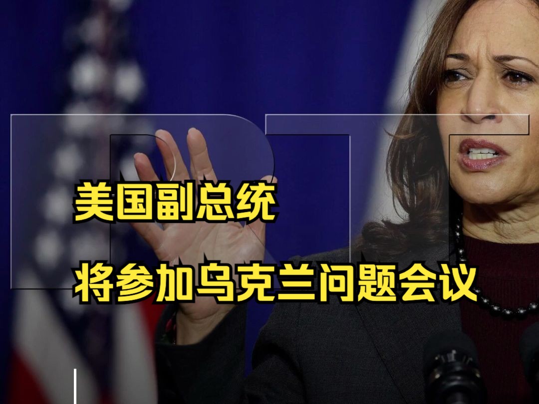 美国副总统哈里斯将参加乌克兰问题会议