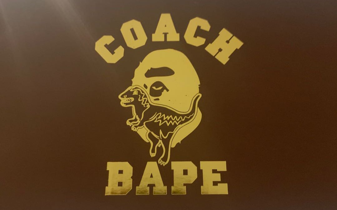 bapestacoach球鞋开箱