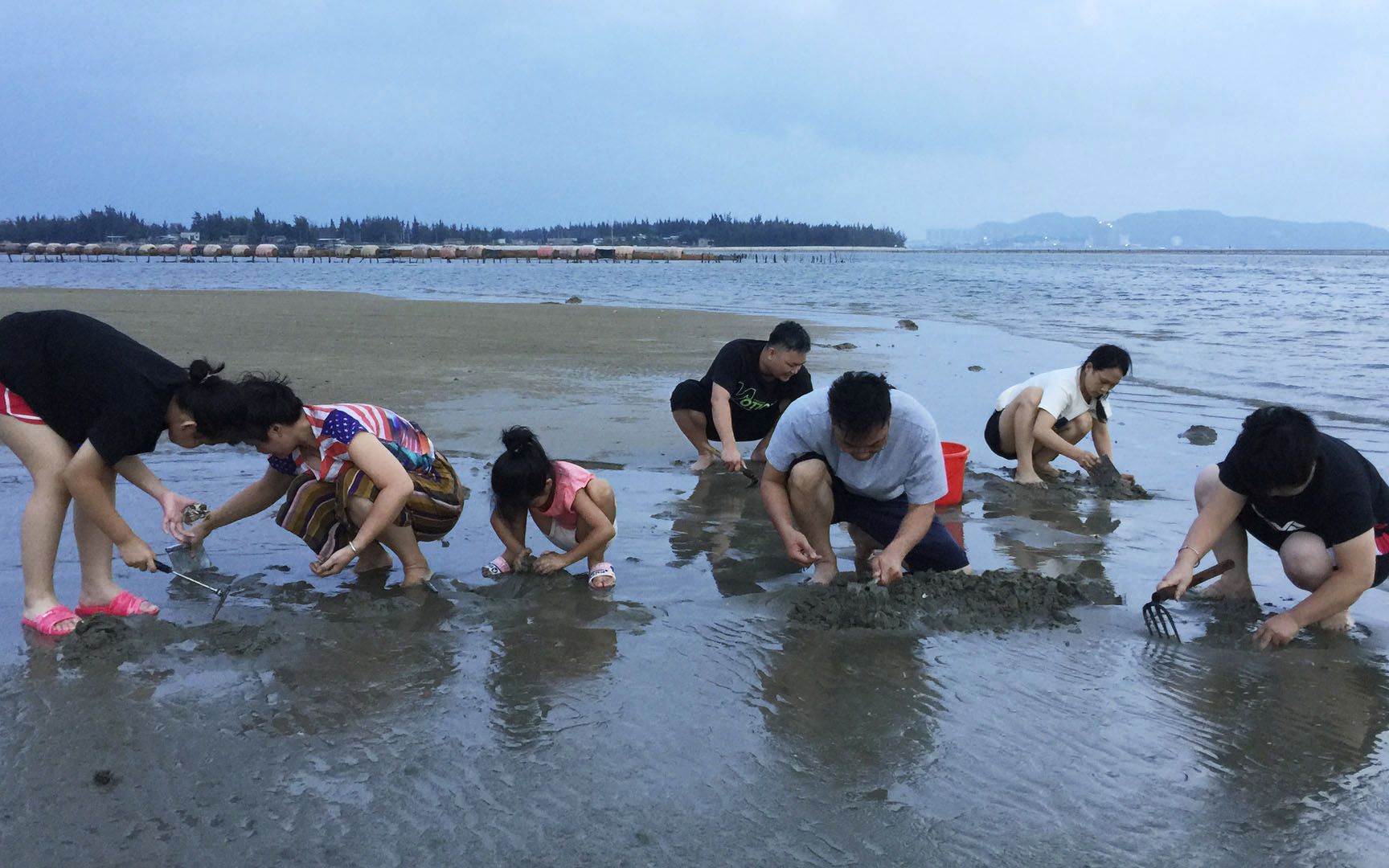 牛嫂从广州回来了,闲牛带大家一起去赶海游玩,收获了好多靓海货_哔哩