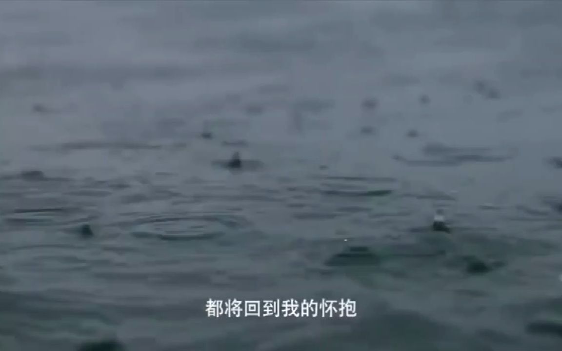 [图]大自然在说话Nature is Speaking海洋（姜文）