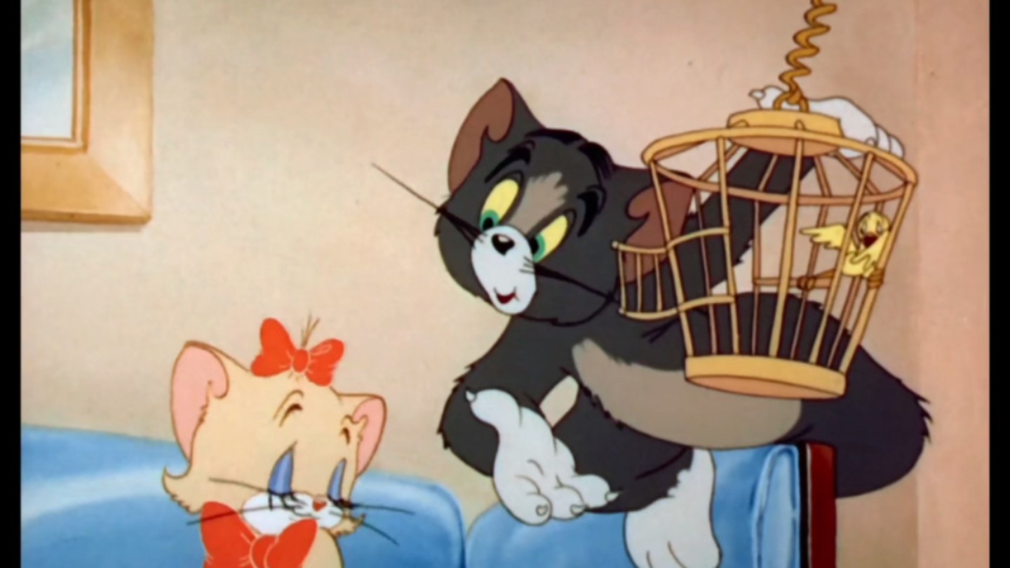 【猫和老鼠】汤姆和猫小姐