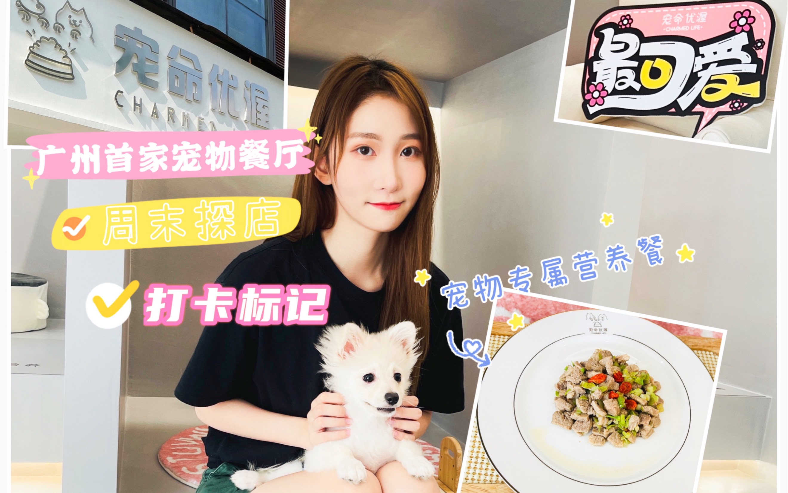 【广州首家宠物餐厅】探店vlog哔哩哔哩bilibili