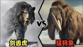 Download Video: 剑齿虎vs猛犸象，谁的战斗力更强呢？