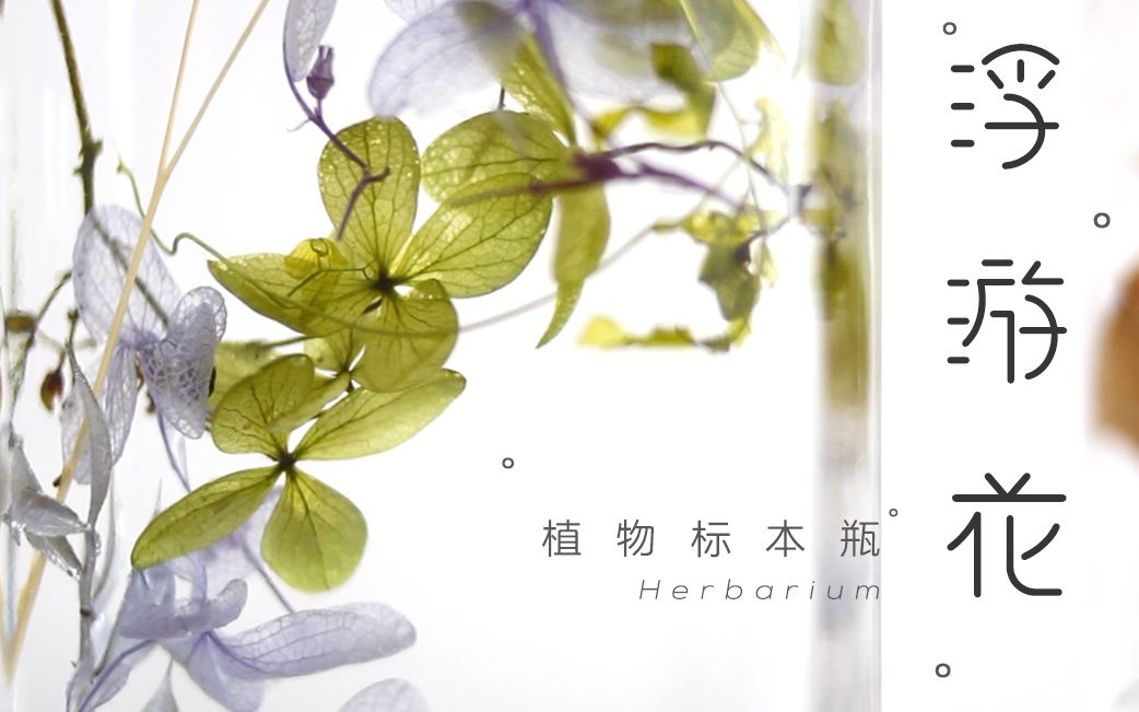 [图]「 浮 游 花 」永生花植物标本瓶教程 | 火爆ins的日本“水中花”