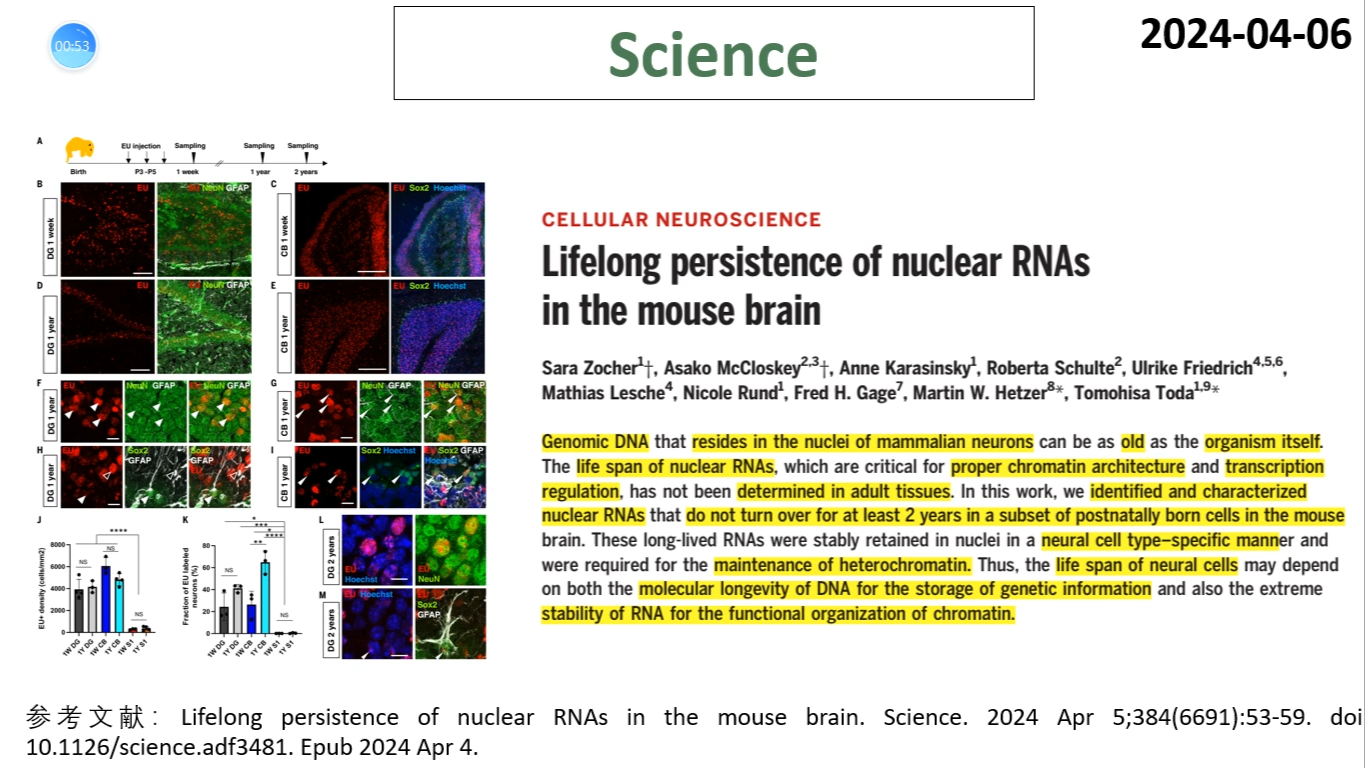 Science—为什么神经细胞的寿命很长?长寿的关键是什么?哔哩哔哩bilibili