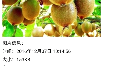 湖南特产哔哩哔哩bilibili