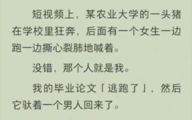 短视频上,某农业大学的一头猪在学校里狂奔,后面有一个女生一边跑一边撕心裂肺地喊着.没错,那个人就是我.我的毕业论文「逃跑了」,然后它驮着一...