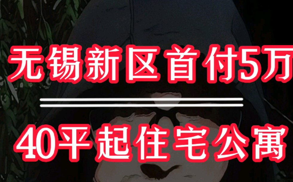 无锡新区首付5万,40平起住宅公寓哔哩哔哩bilibili