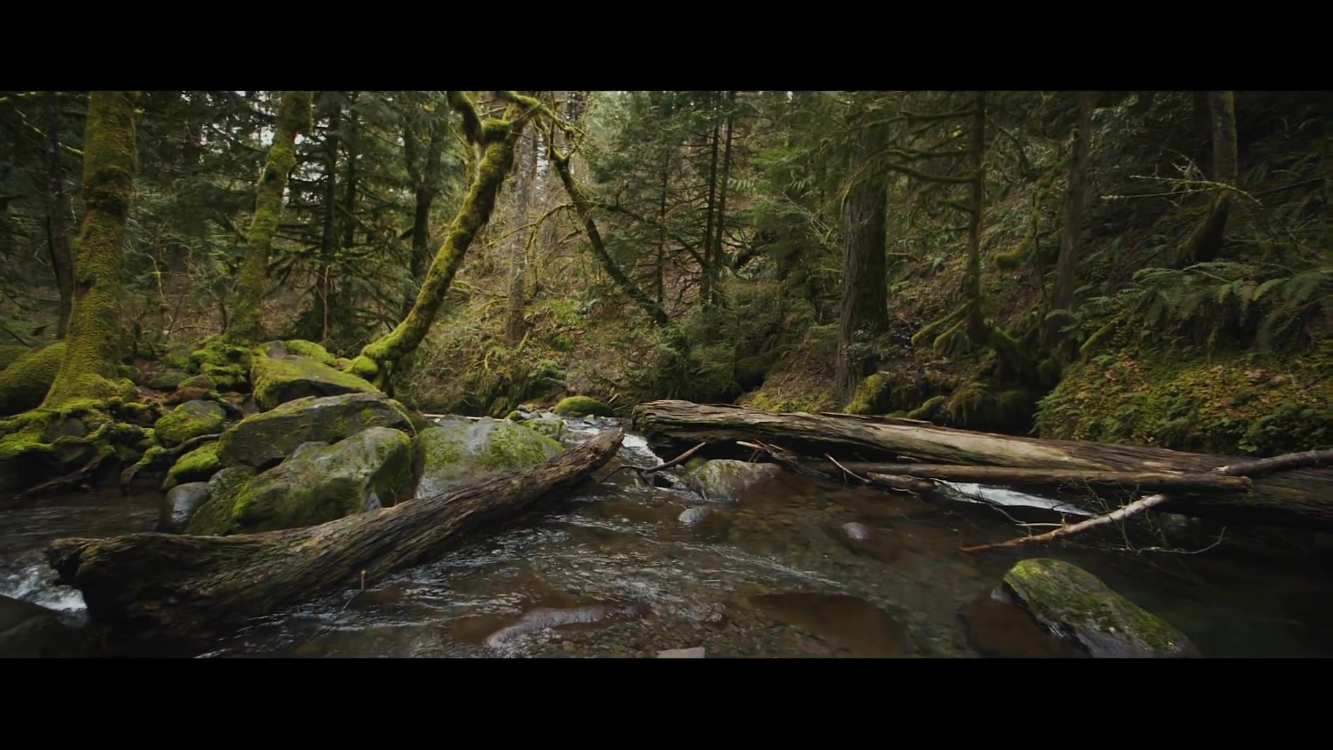 [图]ROAD TRIPPING AMERICA (Panasonic Gh5)