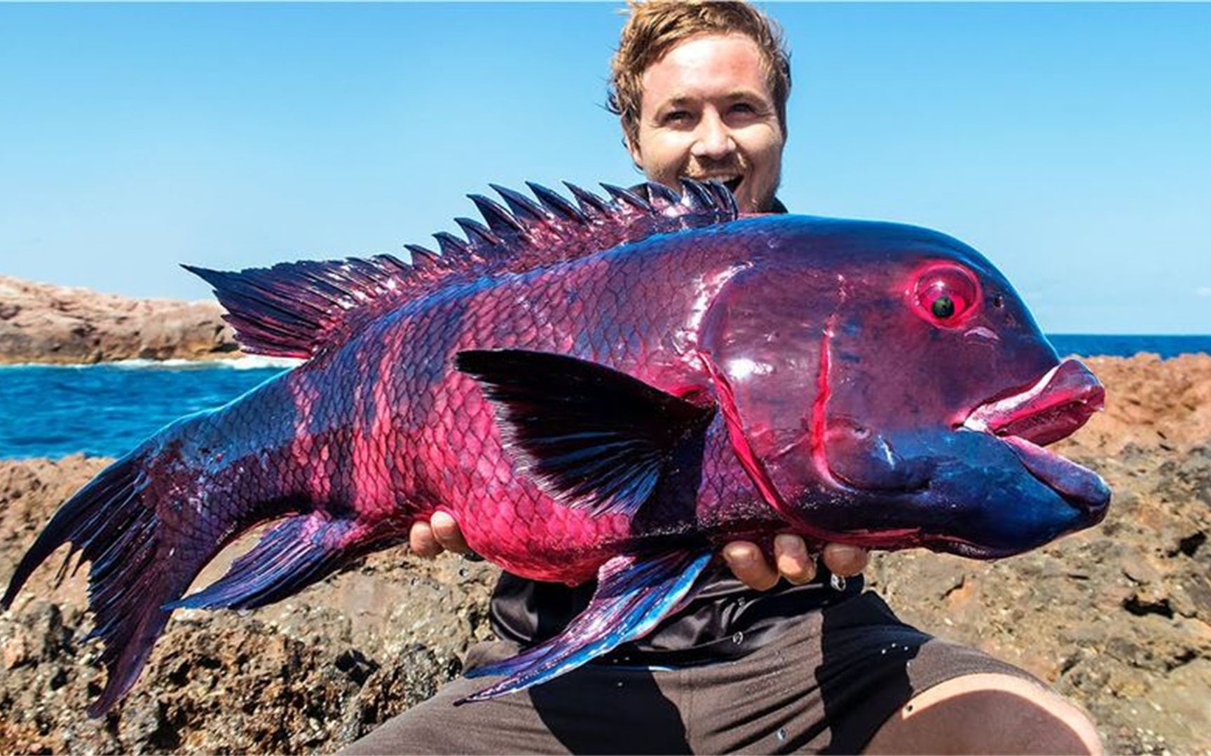 大海中捕获的4种神奇生物,海洋深处充满未知