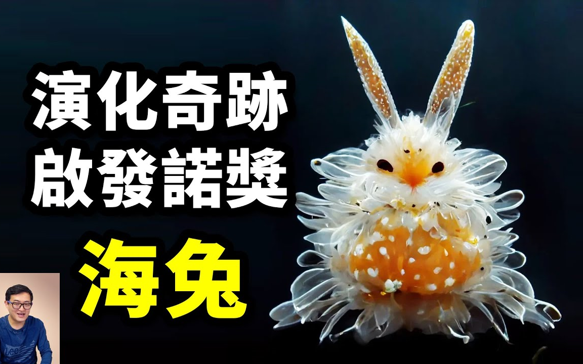 海兔:像外星生物一样科幻,启发了诺贝尔奖,海底的兔子竟如此神奇!「老肉」哔哩哔哩bilibili