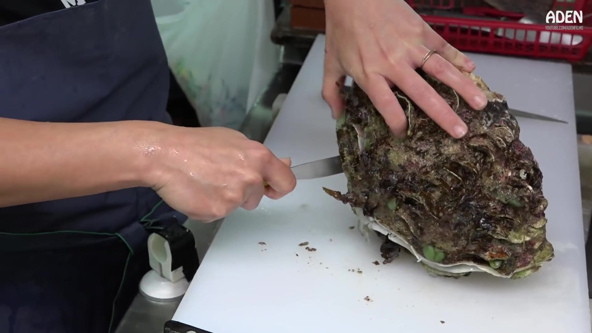 日本海鲜店巨型蛤蜊处理教程_哔哩哔哩 (゜-゜)つロ 干杯~-bilibili