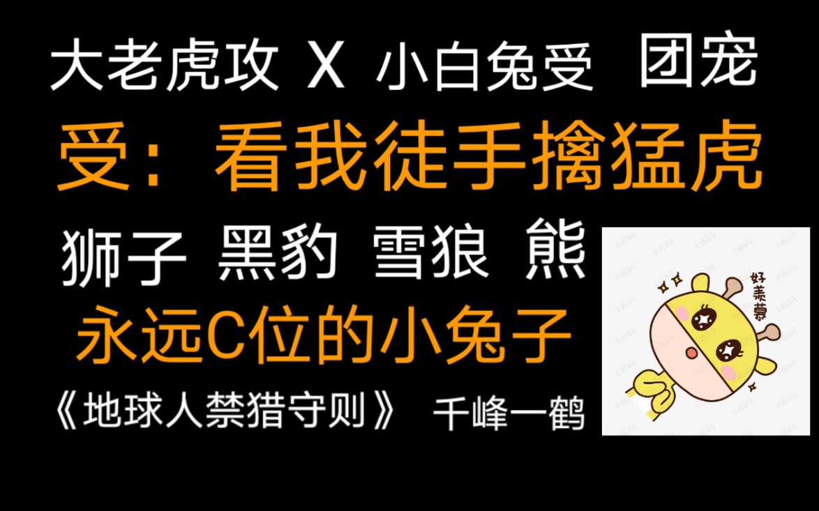 【原耽小说推荐】一只迟钝的小白兔与一只闷骚大老虎的温馨故事(周围还有一群毛茸茸虎视眈眈)哔哩哔哩bilibili