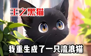 Download Video: 【王之黑猫】母猫每天把我藏在垃圾堆里不让别人发现，一日三餐还喂我别人吃剩下的食物，我却很享受