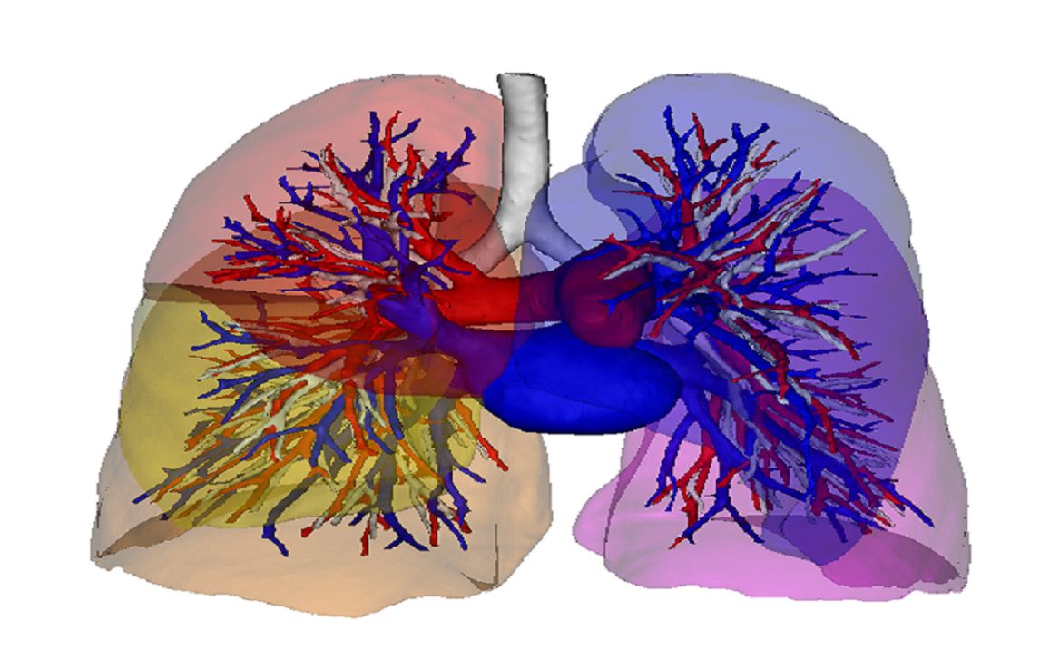 如何在mimics19.0上制作出普通人看得到的三维支气管
