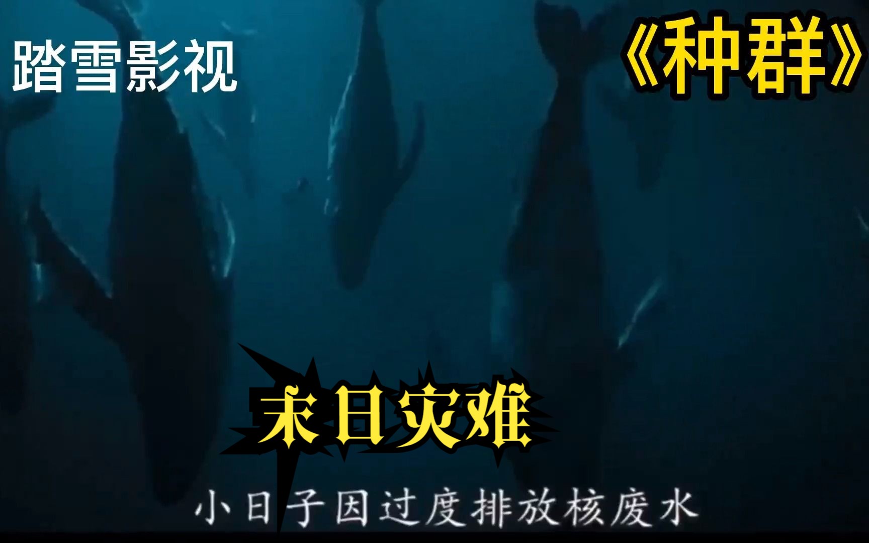 《种群》震撼来袭灾难电影,海洋生物袭击人类,2023年最新末日灾难片