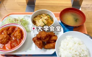 下载视频: 日本大学食堂的自选菜套餐是什么样的？