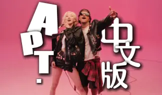 Descargar video: 【APT. 】中文版发布！！朴氏小甜歌，一起嗨起来 ！！