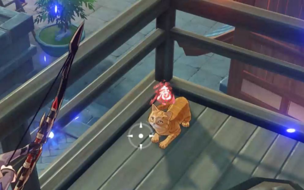 猫落地猫抖水猫转身