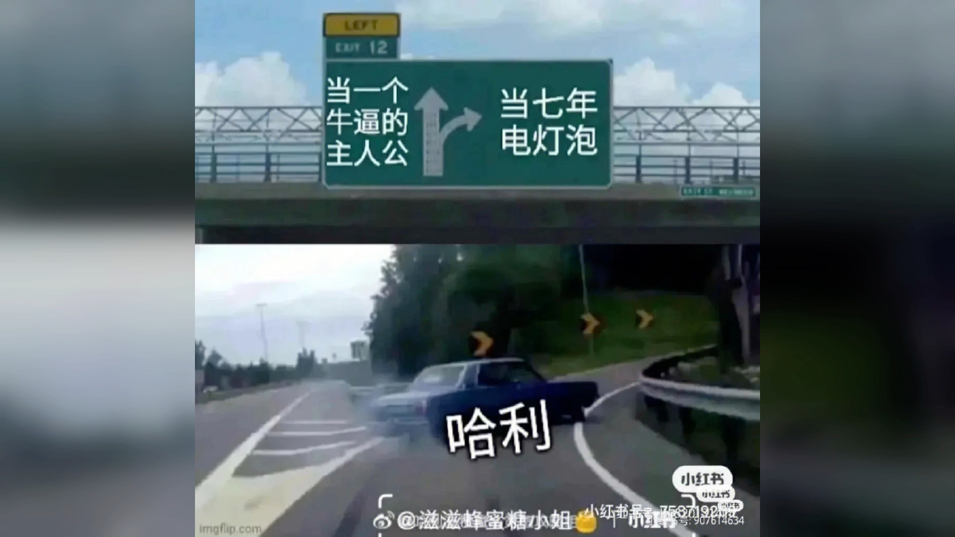 哈迷的快乐你不懂之HP梗图#13哔哩哔哩bilibili