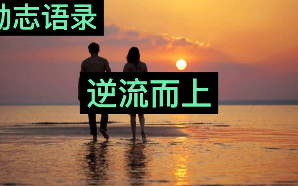 励志语录逆流而上