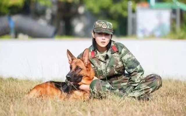 [图]《奇兵神犬》张馨予艾勒薇斯剪辑——BGM不要忘记我爱你（谨祝张馨予0328生日快乐）