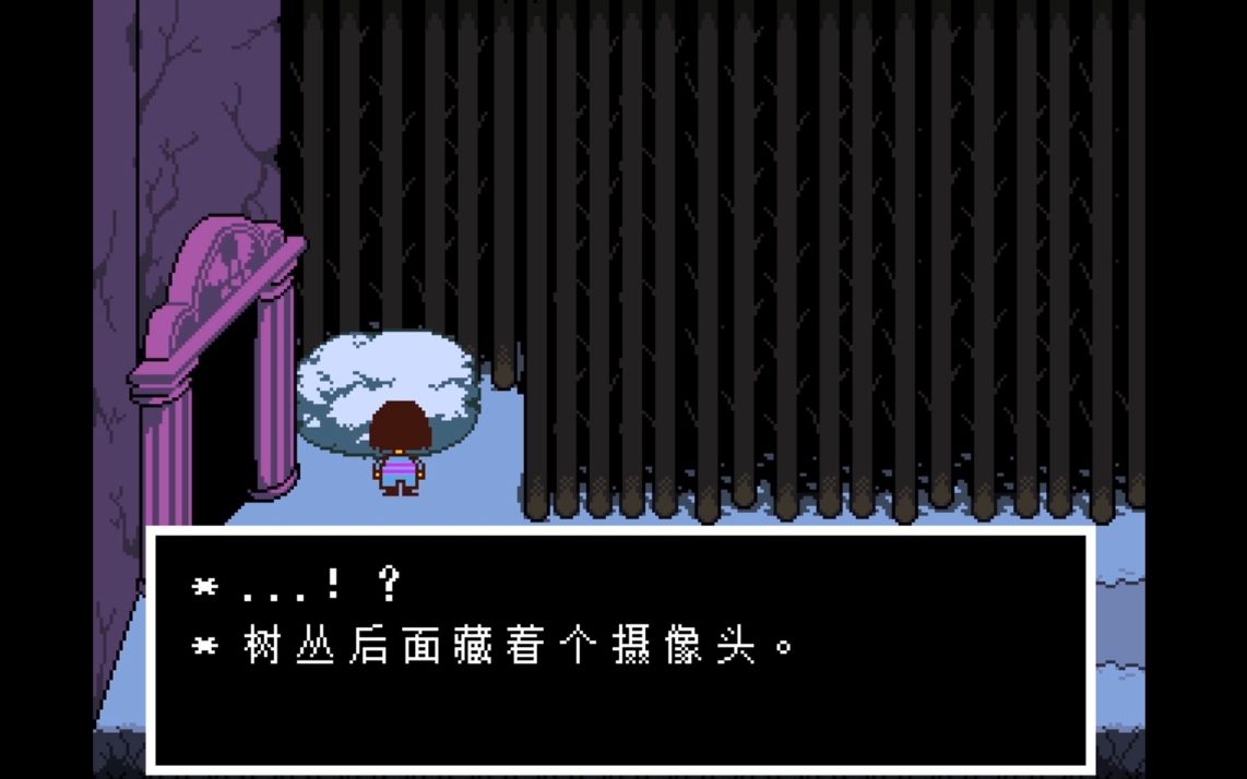 【undertale】传说之下宅龙摄像头彩蛋