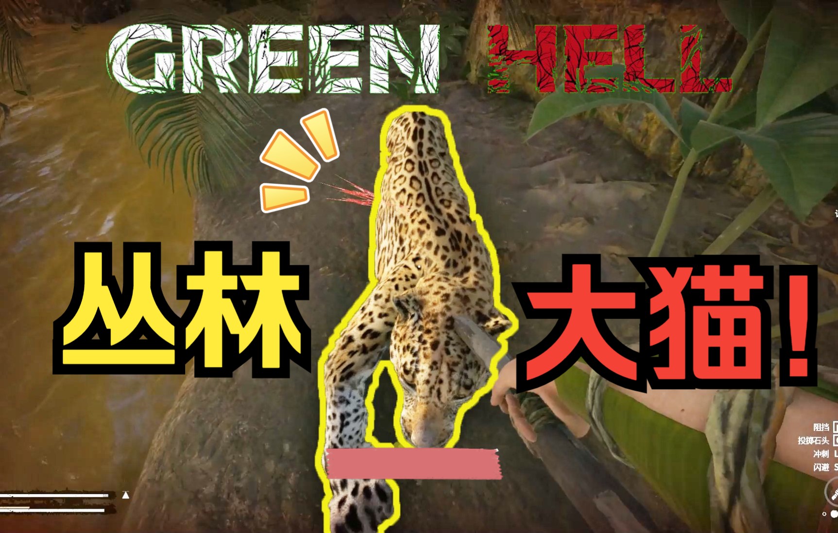 [图]绿色地狱(Green Hell)#02 热带雨林生存教你如何撸大猫！确立生存新基地！