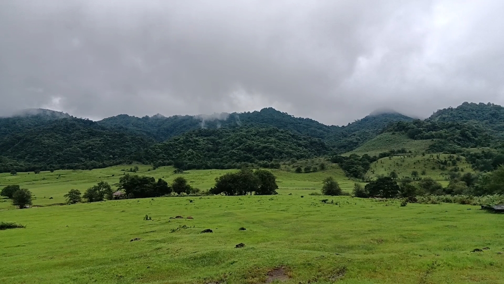 [图]滇西自然生态美景