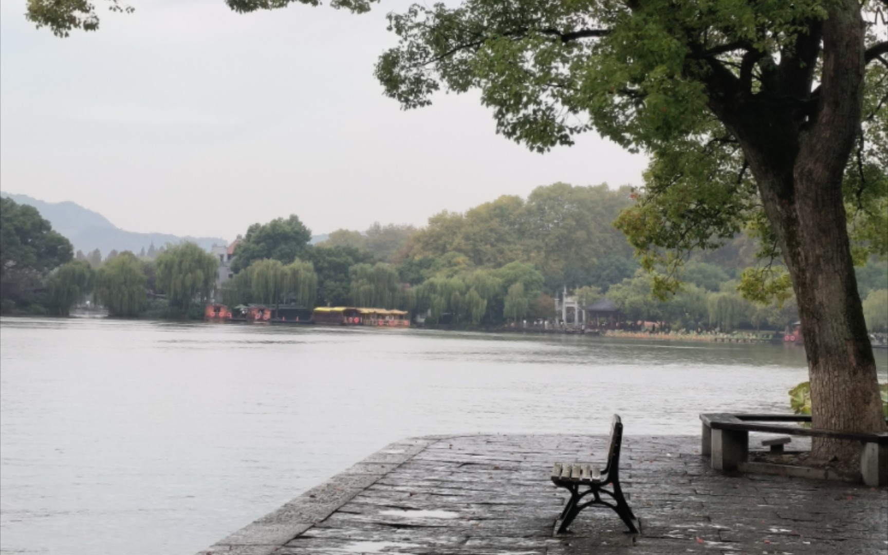 雨天西湖美景图片图片