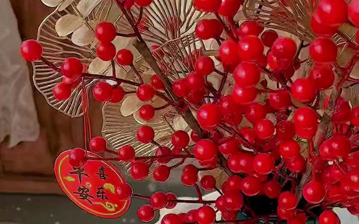 新年装饰红浆果又叫发财果寓意家庭事业红红火火蒸蒸日上新婚的新店