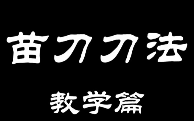 苗刀刀法教學篇之撩刀點刀的單練和組合訓練 - 影音視頻 - 小不點搜索