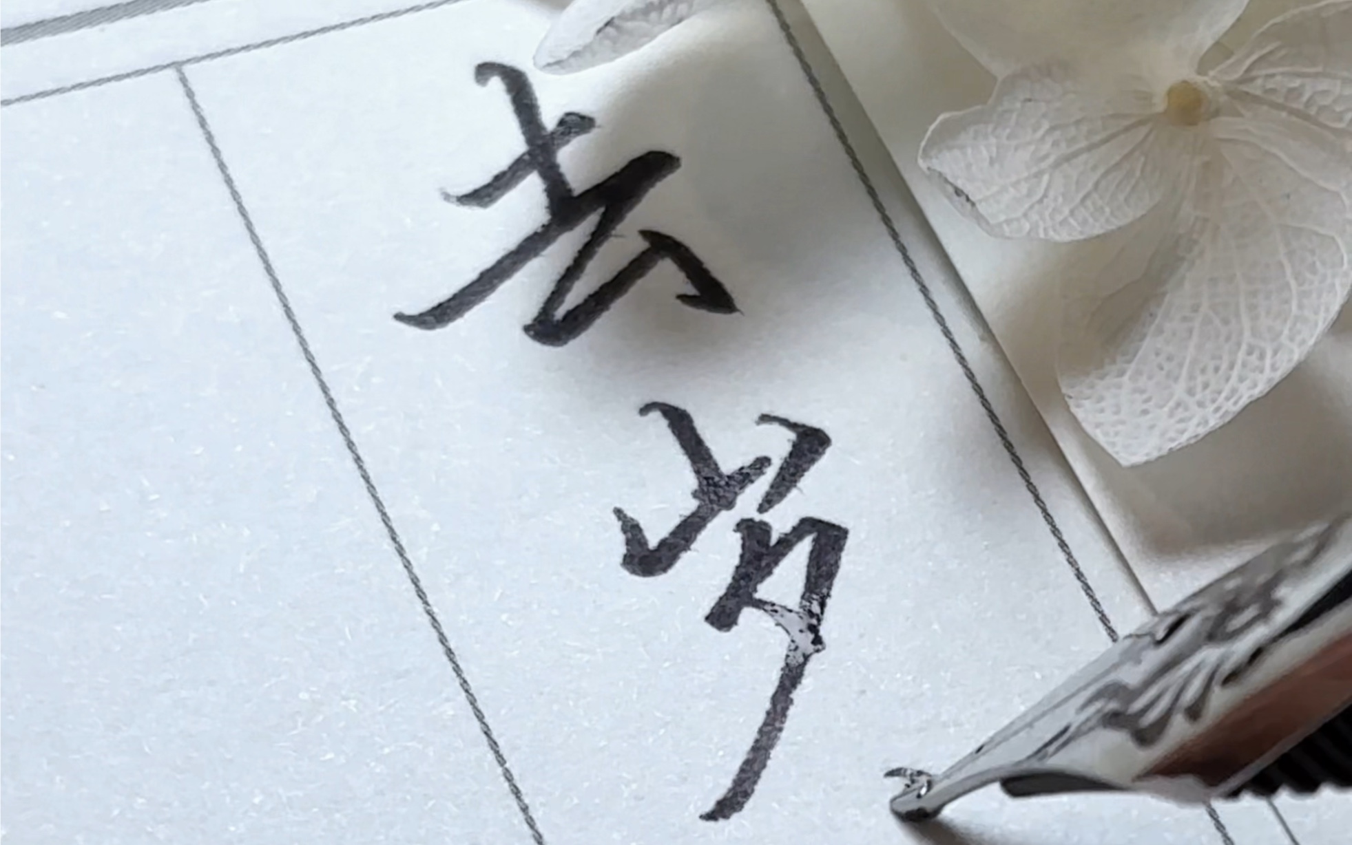 了,让我们挥别2023,去岁千般皆如愿,今年万事定称心#写字是一种生活