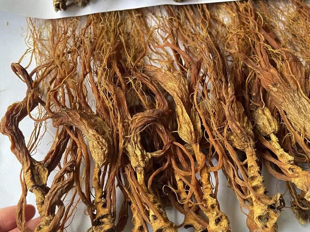 红棒槌!精选加工!