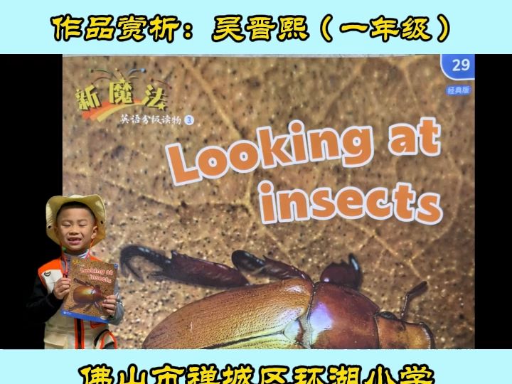 一年级英语绘本朗读:Looking at insects 《新魔法英语分级读物》(经典版)第3级哔哩哔哩bilibili