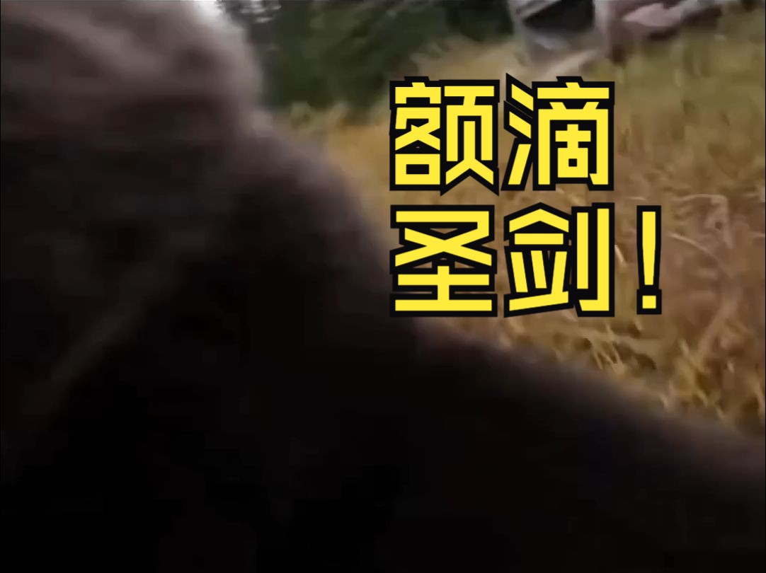 额滴圣剑!额滴圣剑!