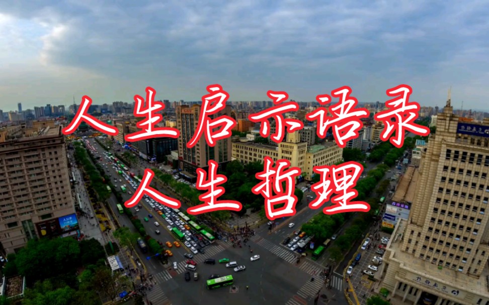 不想前路铺满荆棘,一起来学习吧!人生启示语录《人生哲理》