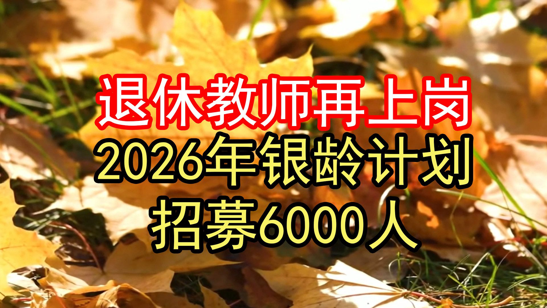 退休教师再上岗！2026年银龄计划招募6000人