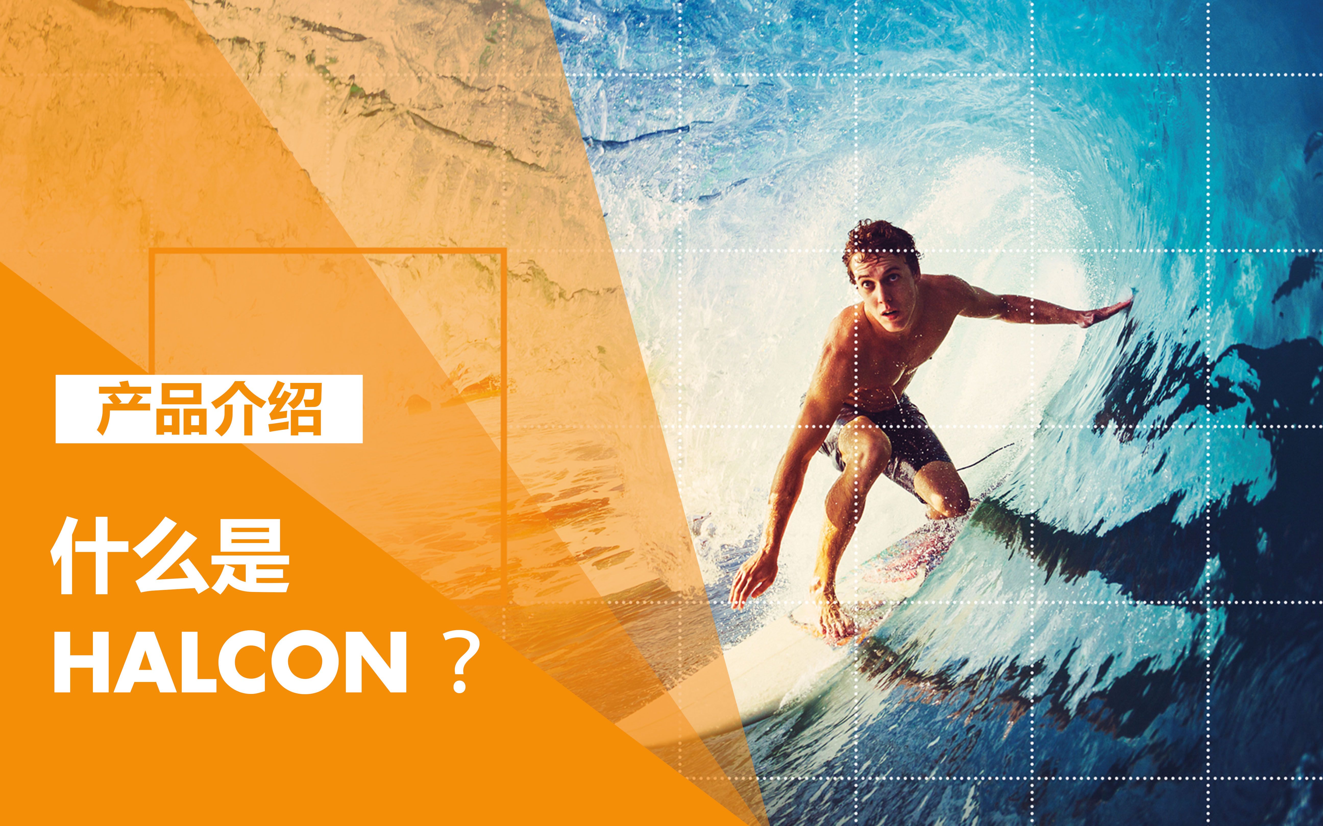 什么是 HALCON?