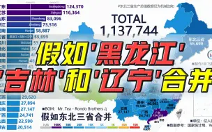 Télécharger la video: 假如黑龙江、吉林和辽宁合并，GDP能排全国第几？