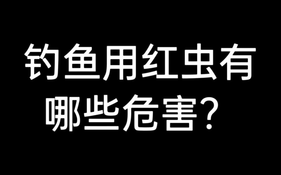 钓鱼用红虫有哪些危害哔哩哔哩bilibili