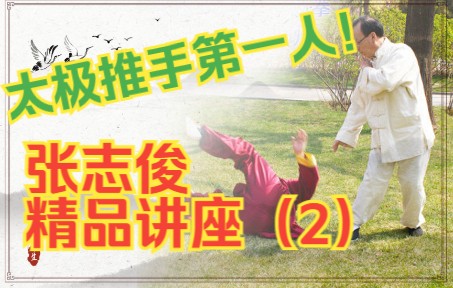 太极推手第一人张志俊太极功夫精品讲座,太极拳爱好者必看,学完太极