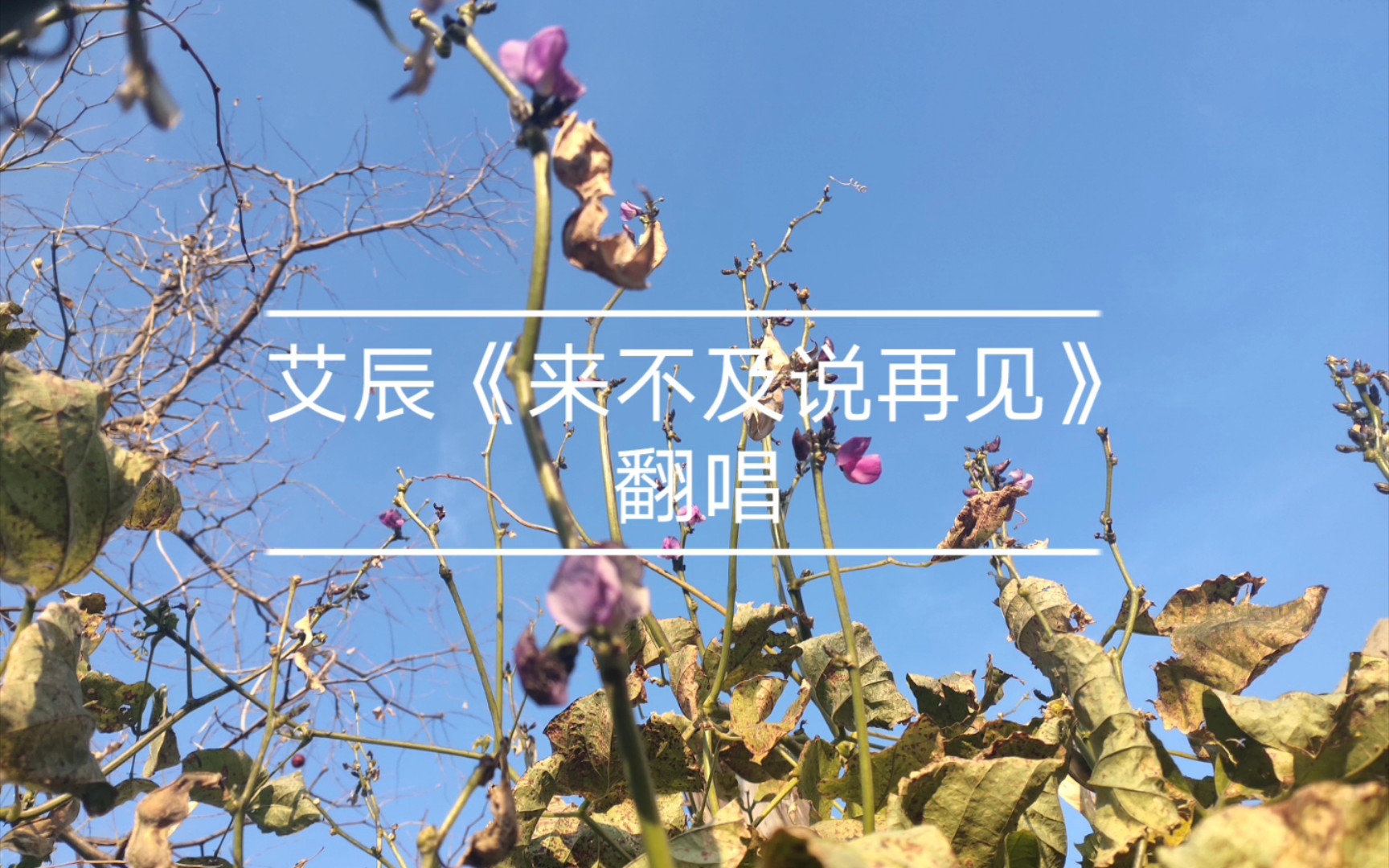 [图]【神尾君】翻唱《来不及说再见》原唱：艾辰