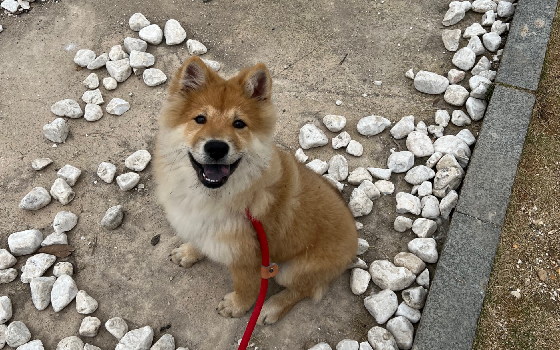 鍋氫竴鍙湁韬唤鐨勭嫍