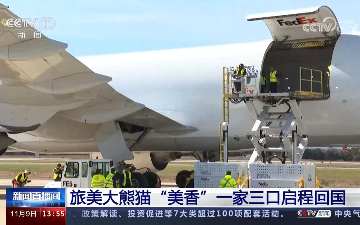 【美香添添小奇迹】旅美大熊猫"美香"一家三口启程回国